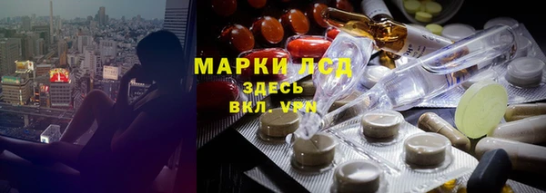 соль ск Кулебаки