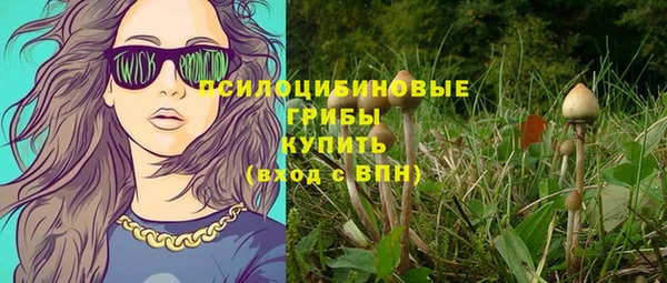соль ск Кулебаки