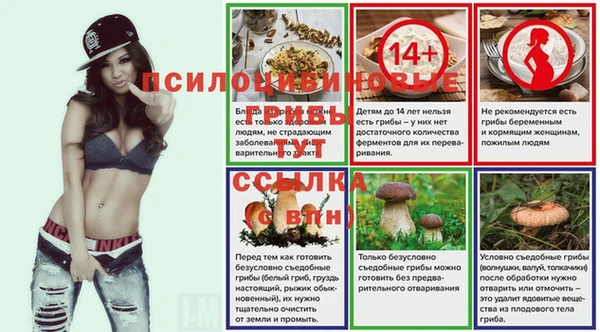 прущие крисы Кукмор