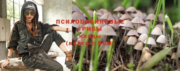 МДМА Куйбышев