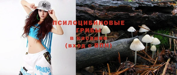 прущие крисы Кукмор
